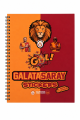 Galatasaray Lisanslı Icardi ve Osimhen Baskılı Sticker Kitabı - 6 Sayfa 70 Parça Çıkartma Albümü