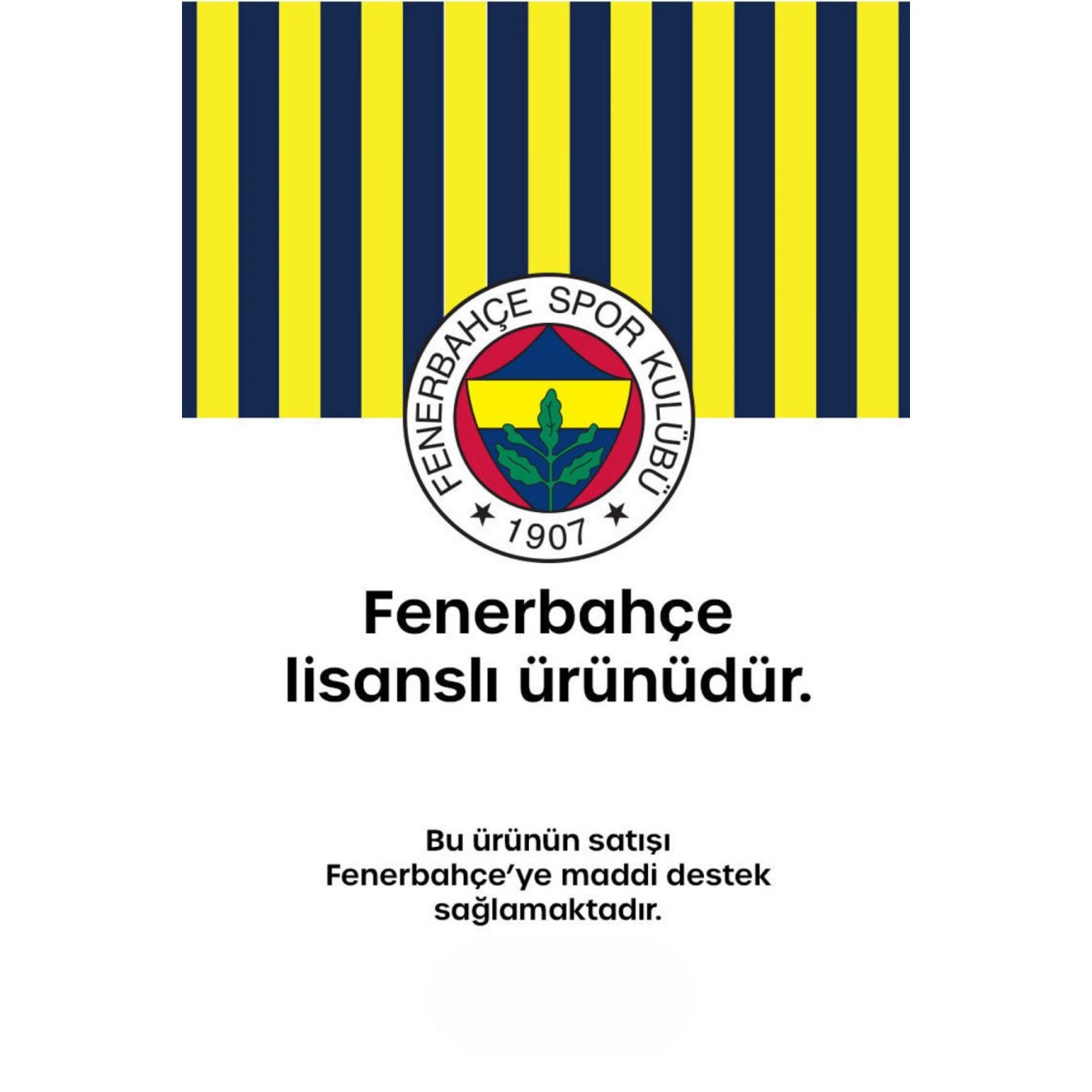 Fenerbahçe Lisanslı 2 Bölmeli Kamuflaj Desenli Mavi Orijinal Kalemlik